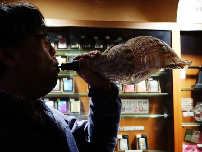 超希少　加熱式タバコホルダー用・巨大ホラ貝型ジャケット ケムール毎週当たるプレゼント！3月21日〜3月27日の景品「加熱式タバコ