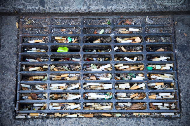 タバコのポイ捨てが深刻な環境汚染につながるリスクもある