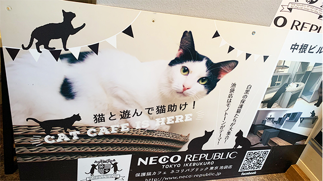保護猫カフェ ネコリパブリック東京池袋店
