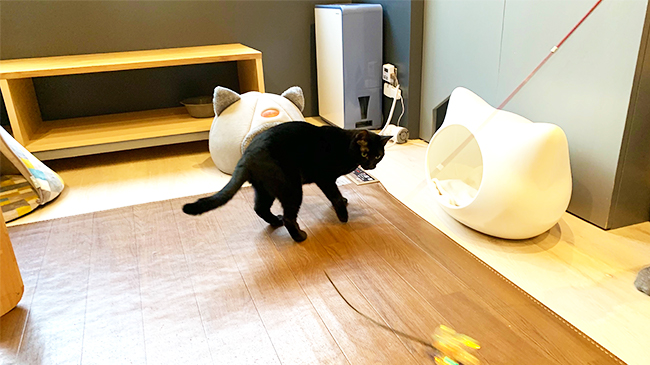 やる気が出てきたのぞみくん