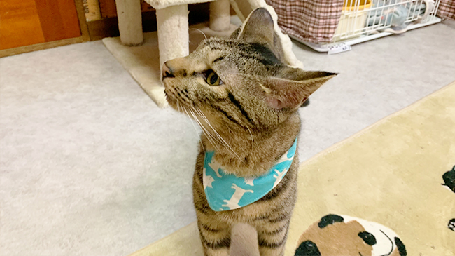 周りを気にする幸多くん