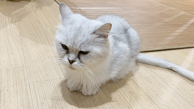座っているりなちゃん