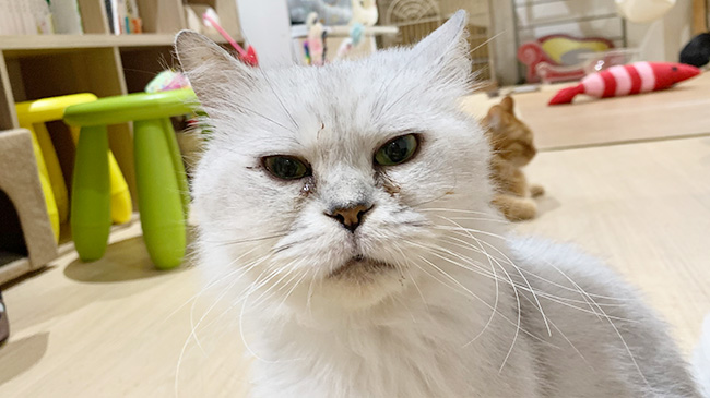 アップになるりなちゃん