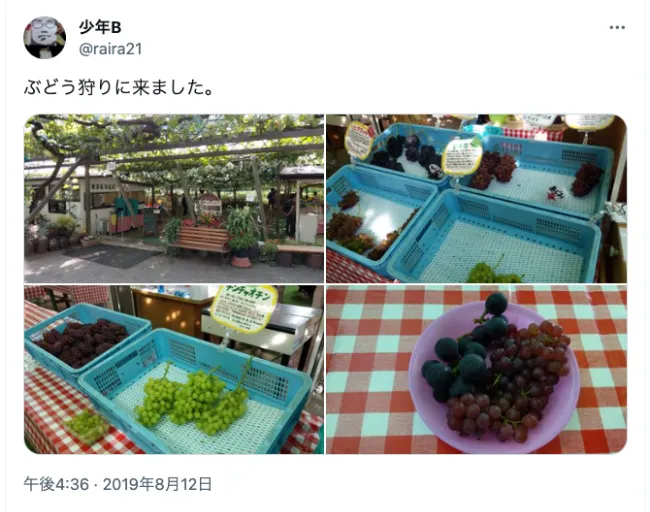 ぶどう＊ページ 葡萄作り事始